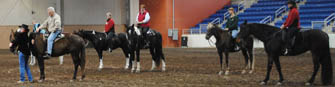 Pennsylvania Horse World Expo