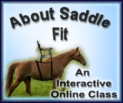 abouit saddle fit
