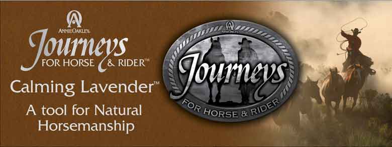 journeys banner 780