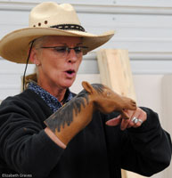 Liz Graves with horse puppet