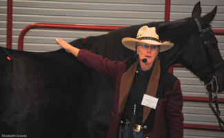 Liz Graves with a Tennesee walker horse